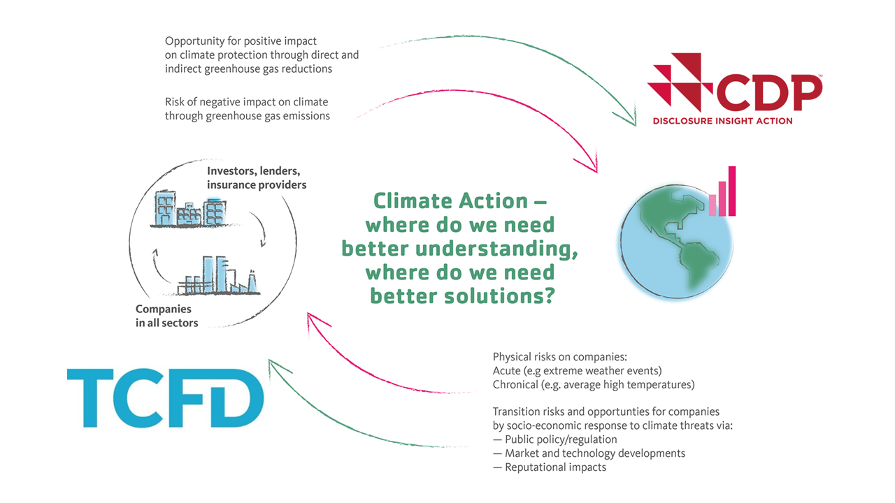 What is TCFD and What Does it Mean for Businesses and Investors ...