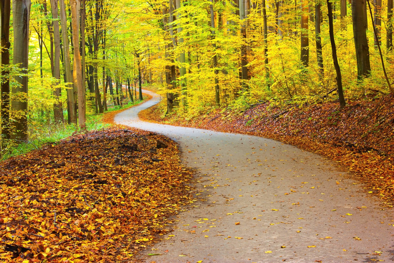 Navigating the CDP Climate Change Questionnaire