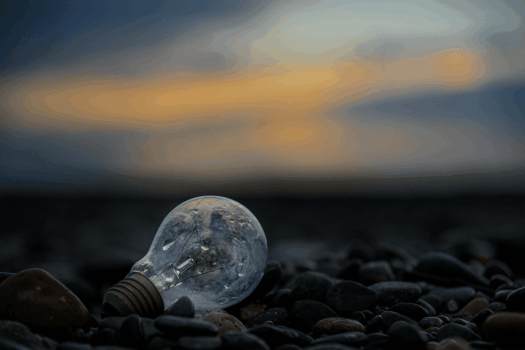 Stopping the sustainability brain drain