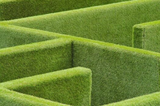 Green maze